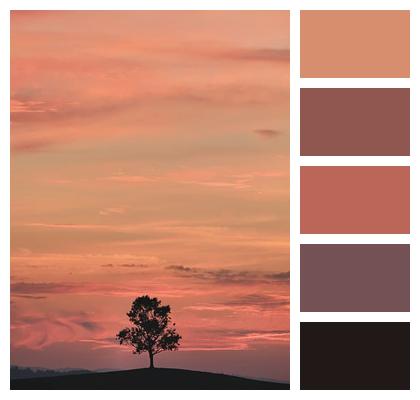 Sunset Landscape Nature Image