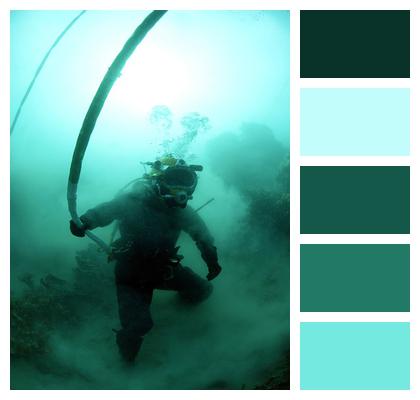 Underwater Diving Diver Image