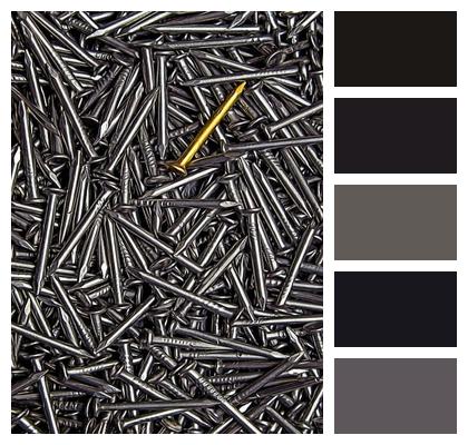Metal Nails Hardware Image