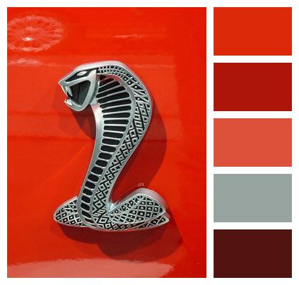 Car Cobra Logo Image