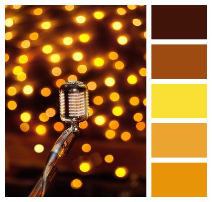 Country To Sing Festival Lights Image
