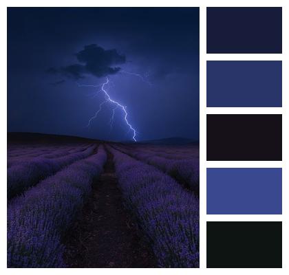 Lavender Lightning Night Image