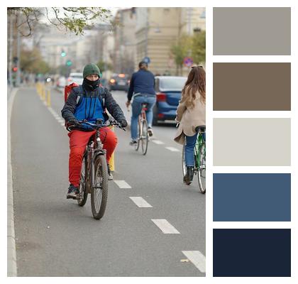 Man Bicyclist Cyclist Image