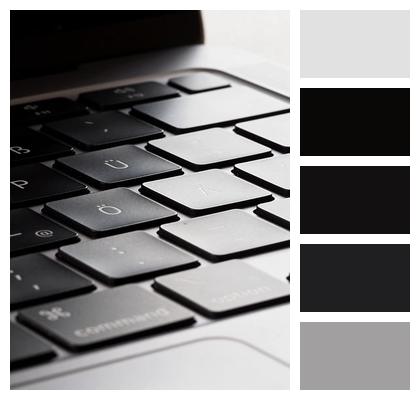 Keyboard Laptop Macbook Image