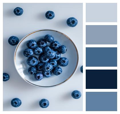 Fruit Plate Blueberries Image
