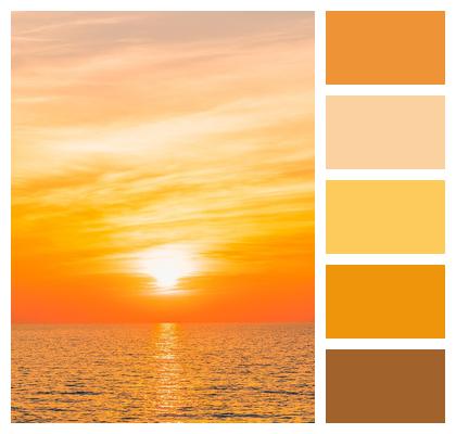 Ocean Tropical Sunshine White Image