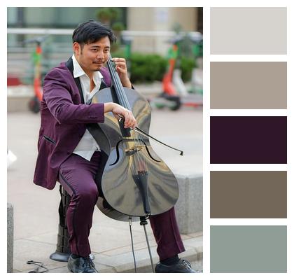 Public Street Attraction Cello Image