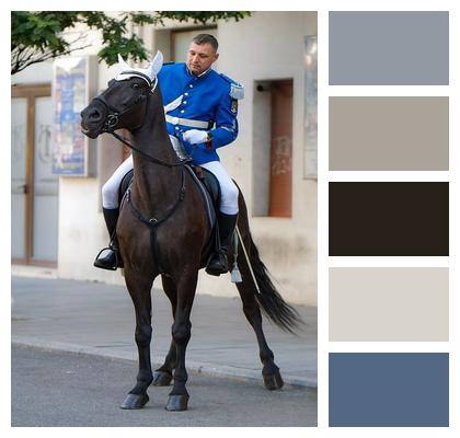 Horse Guard Man Image