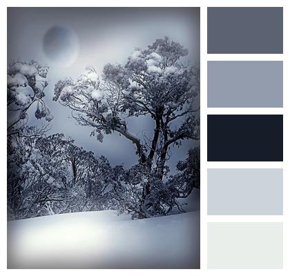 Winter White Blue Image