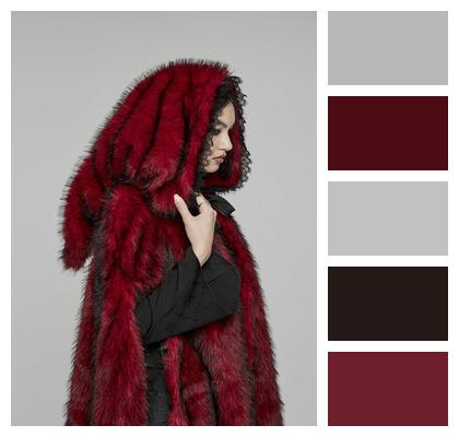 Punk Fantasy Costume Woman Image