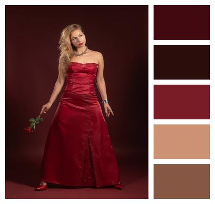 Pose Rose Floral Background Beautiful Image