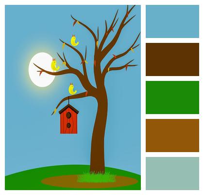 Tree Backyard Nature Feeder Wildlife Leaves Birdhouse Design Branch Birds Garden Image