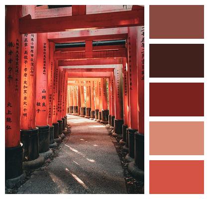 Torii Temple Tourism Japanese Image