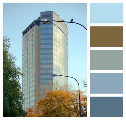 Trees Tower City Urban Building Nature Cityscape Architecture Image