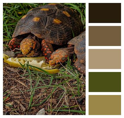 Natural Writer Nature Wildlife Image