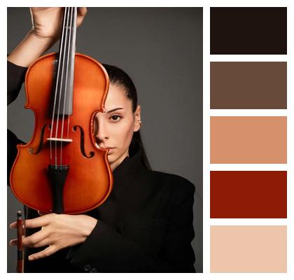 Classic Model Violin Guitar Image