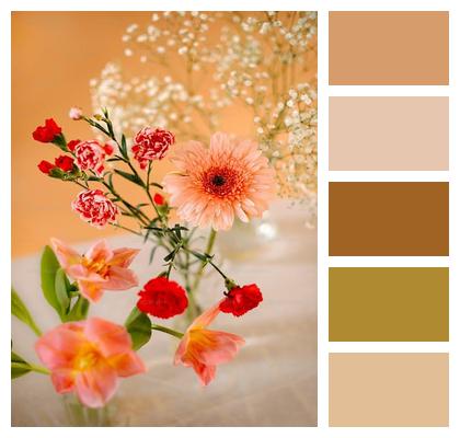 Flowers Flower Background Flora Decor Image