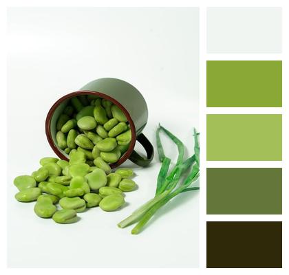 Nature Beans Vegetables Image