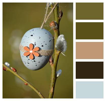 Spring Pasture Easter Salix Caprea Image