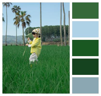 Kid Rice Field Outdoors Countryside Image