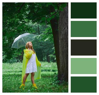 Green Stroll Glade Woman Image