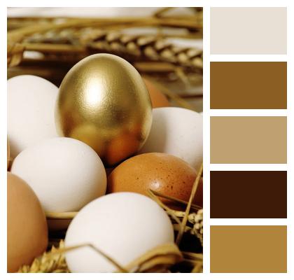 Gold Highlight Holiday Food Image