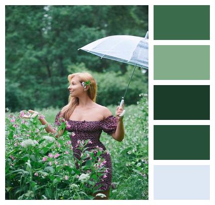 Summer Dress Summer Look Park Summer Image