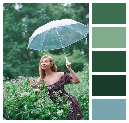 Forest Umbrella Glade Woman Image