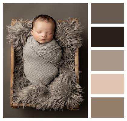 Young Portrait Child Son Image