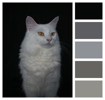 Nature Mammal Ai Generated Feline Image