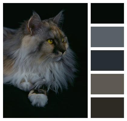 Pet Ai Generated Animal Nature Image