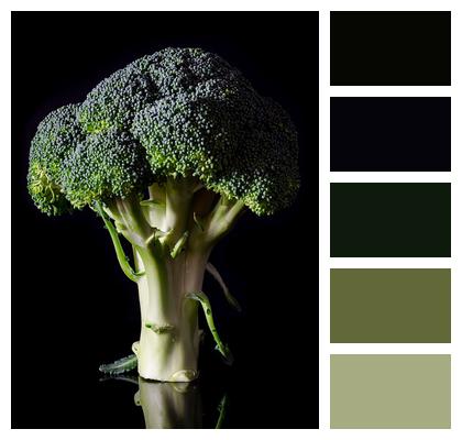 Broccoli Fresh Food Image