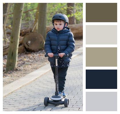 Helmet Trees Boy Park Image