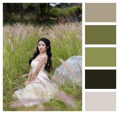 Dress Field Hanoi Woman Image
