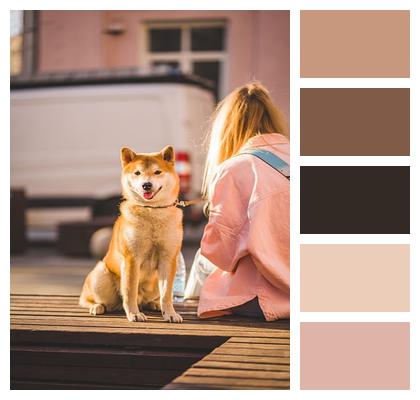 Delightful Nature Pet Puppy Image