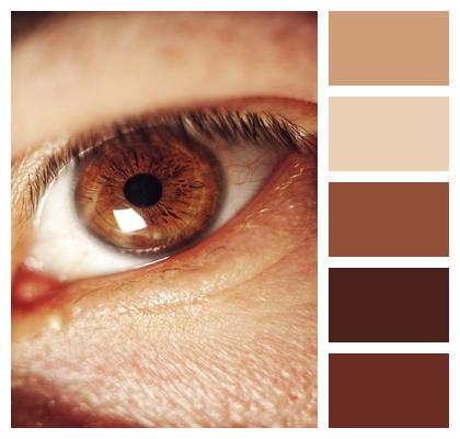 See Eye Canon Skin Image