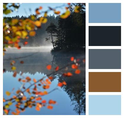 Forest Nature Mountain Autumn Image