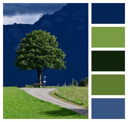 Nature Blue Tree Sky Tree Image