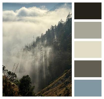 Summer Nature Clouds Trees Image