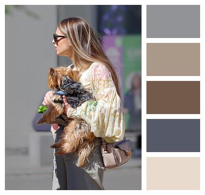 Purse Animal Snapshot Sunglasses Image