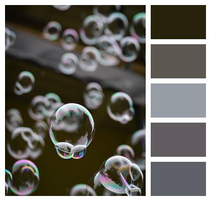Garden Soap Bubbles Hover Nature Image