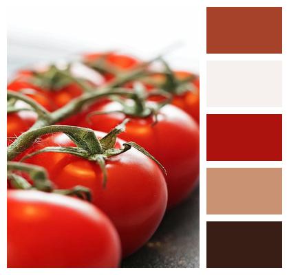 Vegetables Nourishment Organic Meal Image