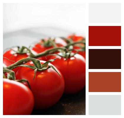 Fresh Tomatoes Background Image Kitchen Image