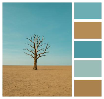 Sand Dunes Land Tree Image