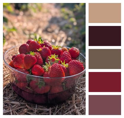 Food Red Fruit Strawberries Image