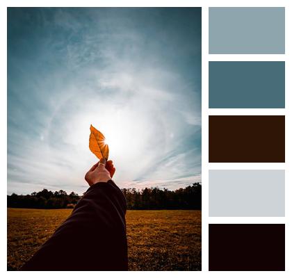 Yellow Hand The Sun Leather Image