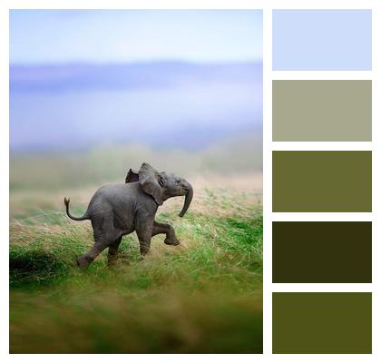 Nature Cute Man Mammal Image