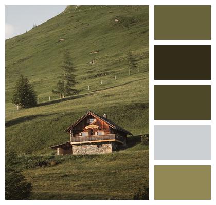 Retreat Hillside Mountain Cabin Traditional Architecture Image