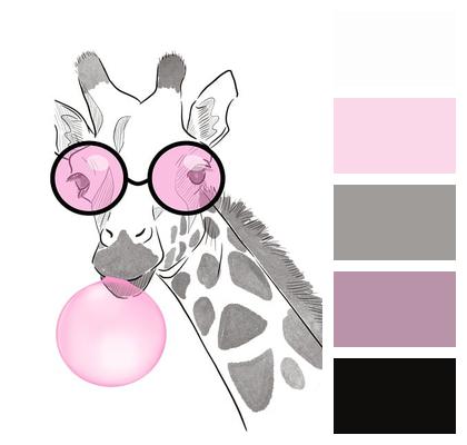 Nature Giraffe Africa Animal Image