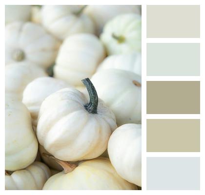 Food To Produce Pumpkins Fall Image